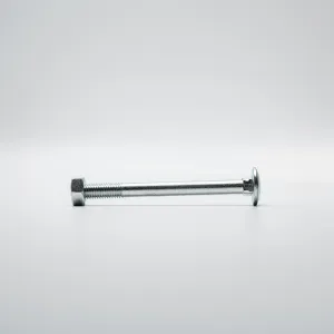 Pak Probo Slotbouten RVS 6x20 (50)