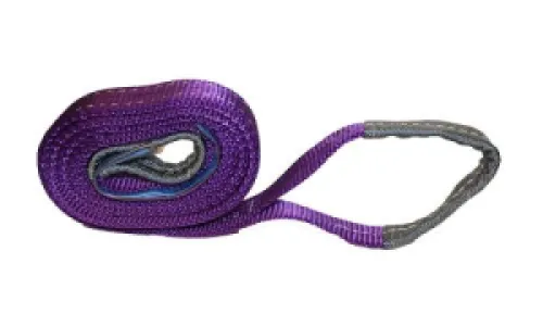 Hijsband 1T - l 3m br 30mm paars